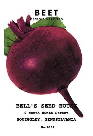 Vintage Seed Packet Art Poster Print - Unknown Artist