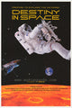 Destiny in Space IMAX Movie Poster Print - 27x40