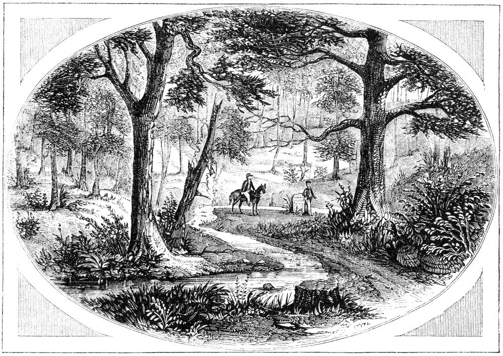 South Carolina Battlefield - King’s Mountain Battle Wood Engraving Print