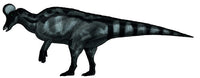 Corythosaurus Fine Art Print by Vitor Silva | Stocktrek Images
