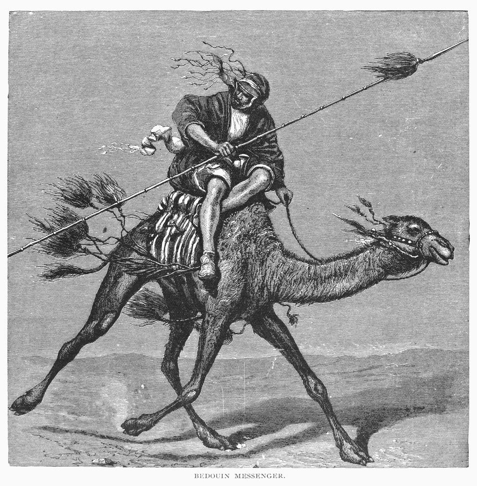 Bedouin Messenger 19th Century Engraving Poster Print by Granger Collection