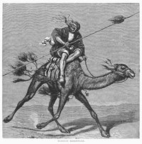 Bedouin Messenger 19th Century Engraving Poster Print by Granger Collection