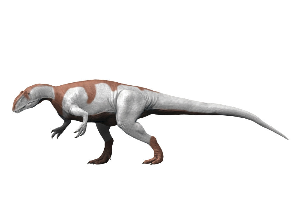 Yangchuanosaurus Theropod Fine Art Print from the Late Jurassic Period