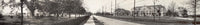 New Orleans Tulane University Campus Fine Art Print by A.L. Barnett