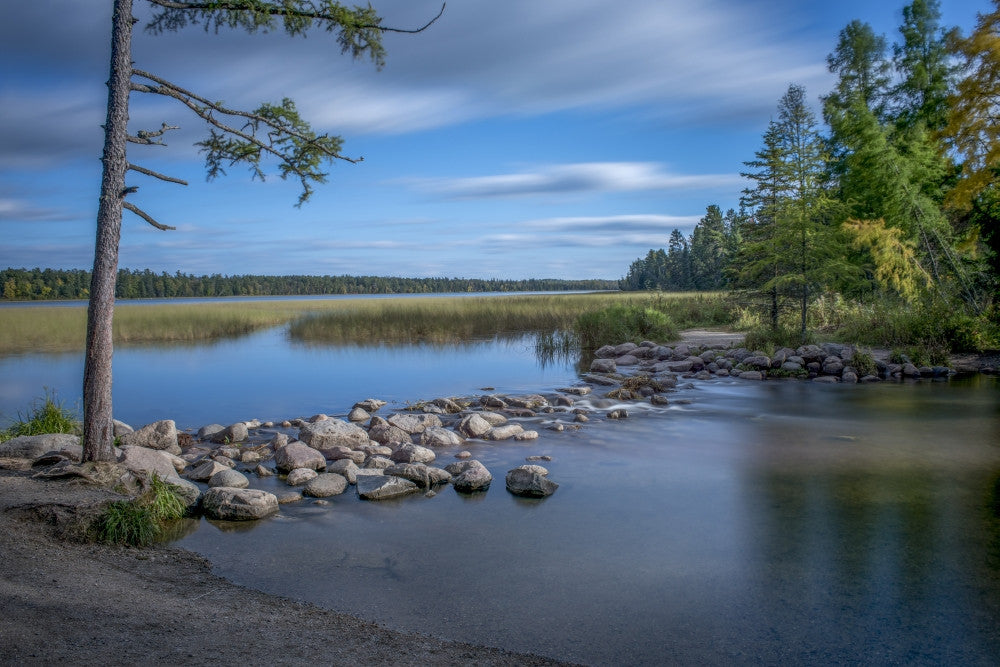 Itasca State Park Poster Print by Peter Hawkins - USA, Minnesota