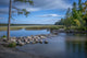 Itasca State Park Poster Print by Peter Hawkins - USA, Minnesota
