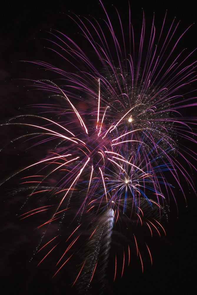 Fireworks Display in Astoria, Oregon Fine Art Print by Robert L. Potts