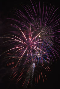 Fireworks Display in Astoria, Oregon Fine Art Print by Robert L. Potts