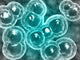 Microscopic View of Chlamydia Fine Art Print - StockTrek Images