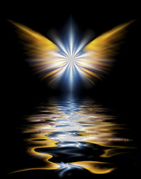 Shining Angel Wings Fine Art Print by Bruce Rolff | Stocktrek Images