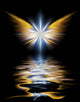 Shining Angel Wings Fine Art Print by Bruce Rolff | Stocktrek Images