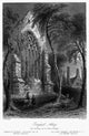 Youghal Abbey Ruins Fine Art Print - Steel Engraving by Bartlett