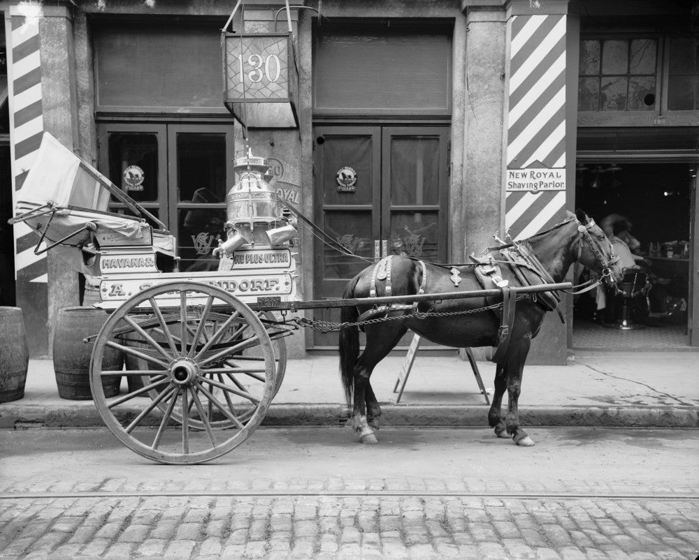 New Orleans Horse-Drawn Milk Cart Fine Art Print by Granger Collection