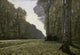 Road to Bas-Breau Fine Art Print by Claude Monet - Musee de l'Orangerie