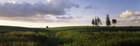 Clouds Over a Landscape Fine Art Print - Iowa County, Wisconsin