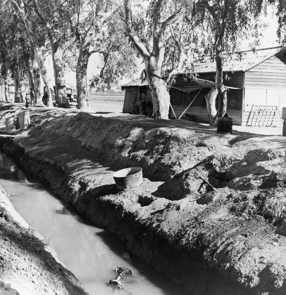 Migrant Housing Fine Art Print by Dorothea Lange | Posterazzi