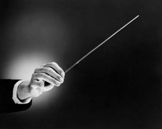 Close-up of a Conductor's Hand Holding a Baton Fine Art Print
