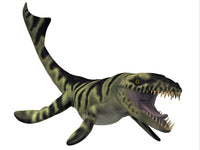 Dakosaurus Marine Reptile Fine Art Print - Jurassic & Cretaceous Era
