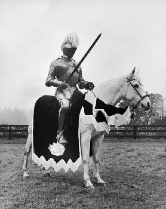 Knight in Armor Riding a Horse Fine Art Print