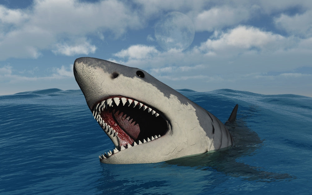 Giant Megalodon Shark Fine Art Print - Perfect for Home Décor