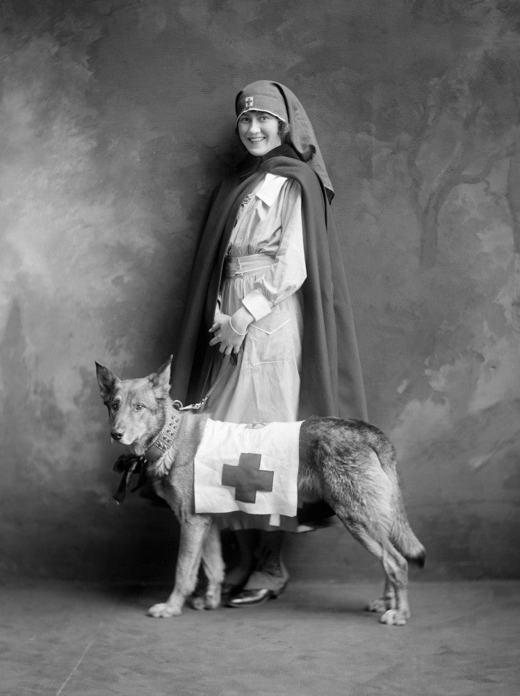 Red Cross Nurse Photograph Print from 1916 with Rescue Dog
