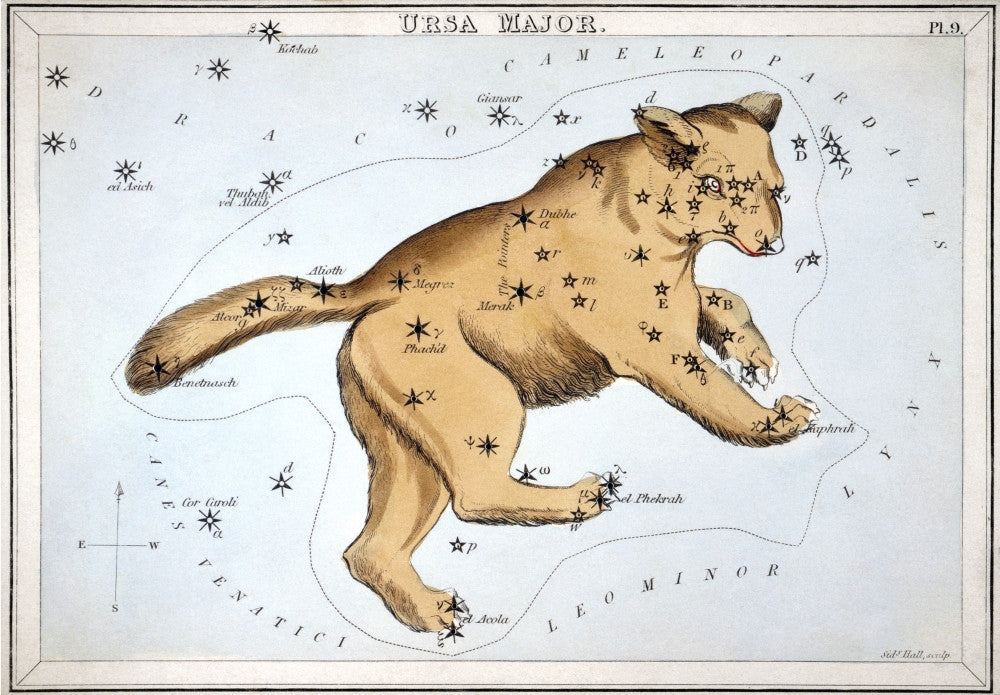 Astronomy Chart of Ursa Major Constellation - Fine Art Print by Sidney Hall