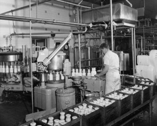 Manual Worker in Dairy Factory Fine Art Print
