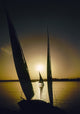 Egypt: Feluccas on the Nile Fine Art Print by Granger Collection