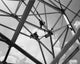 Low Angle View of Two Construction Workers Fine Art Print