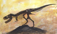 Tyrannosaurus Rex Dinosaur Skeleton Fine Art Print