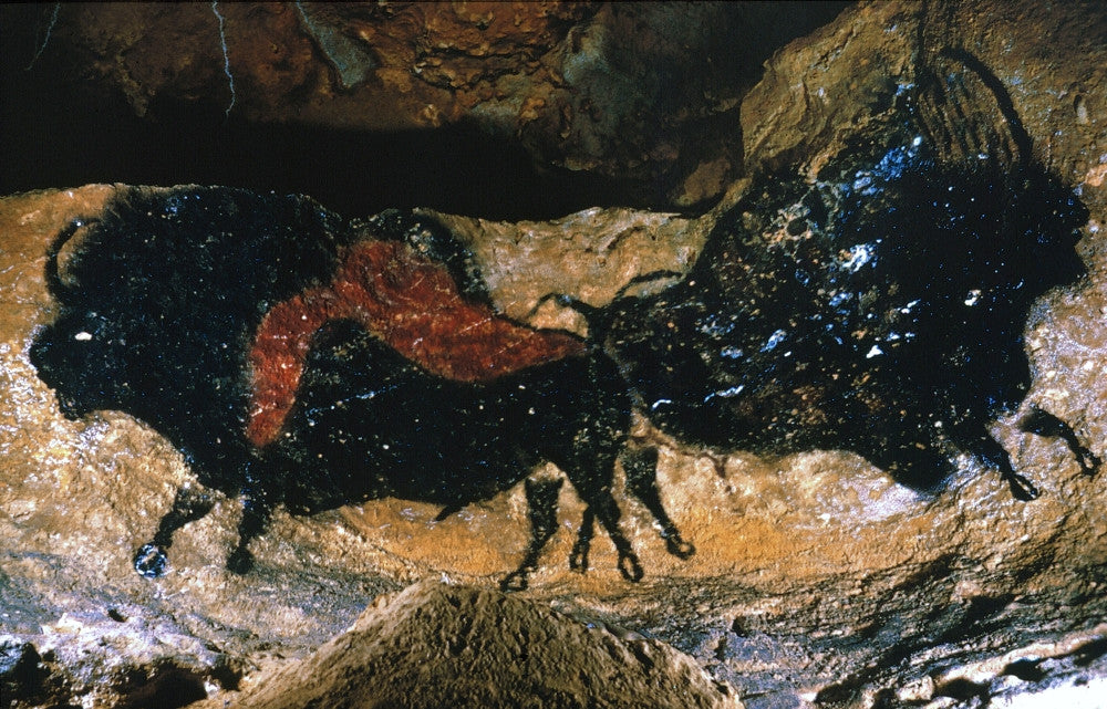 Cave Drawing of Running Bison from Lascaux, France Fine Art Print
