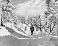 USA Vermont Killington Cross-Country Skiing Poster Print