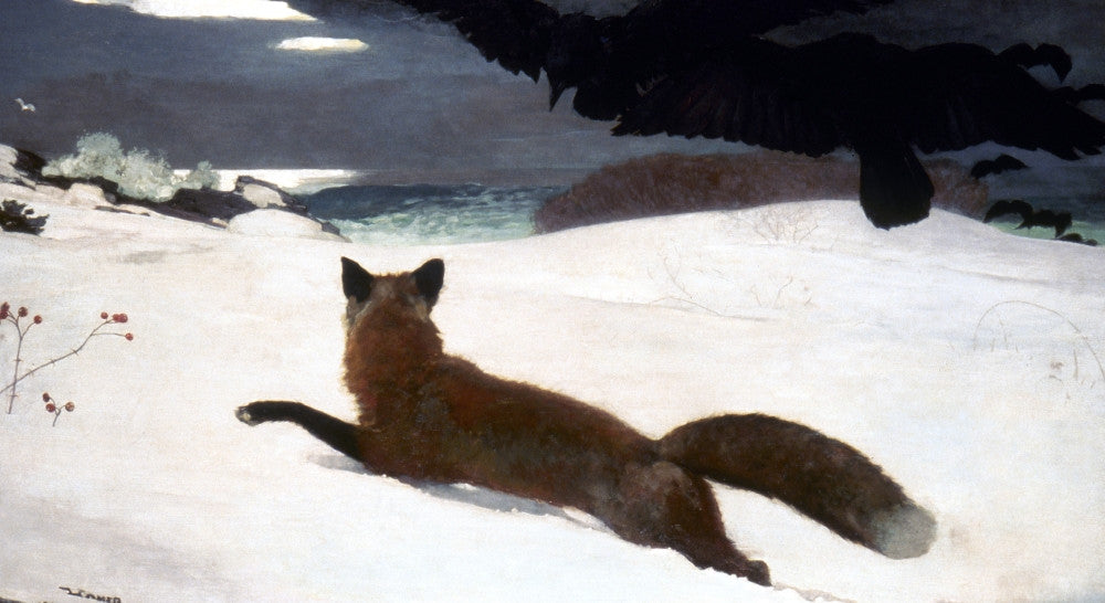 The Fox Hunt Fine Art Print by Winslow Homer (1893)