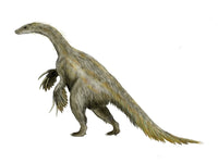 Nothronychus Dinosaur Fine Art Print on White Background