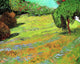 Sunny Lawn in a Public Park Fine Art Print - Various Sizes