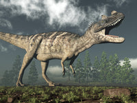 Ceratosaurus Roaring Dinosaur Fine Art Print - 16x12 or 32x24
