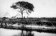 Egyptian Pyramids Fine Art Print - Giza Landscape by Granger Collection