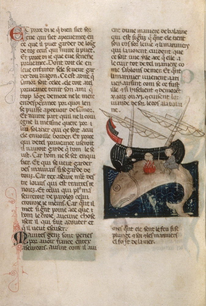 Saint Brendan Fine Art Print - Early 14th Century Manuscript Illumination