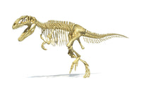 Giganotosaurus Dinosaur Skeleton 3D Rendering Fine Art Print