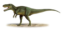 Torvosaurus tanneri Fine Art Print - Late Jurassic Dinosaur