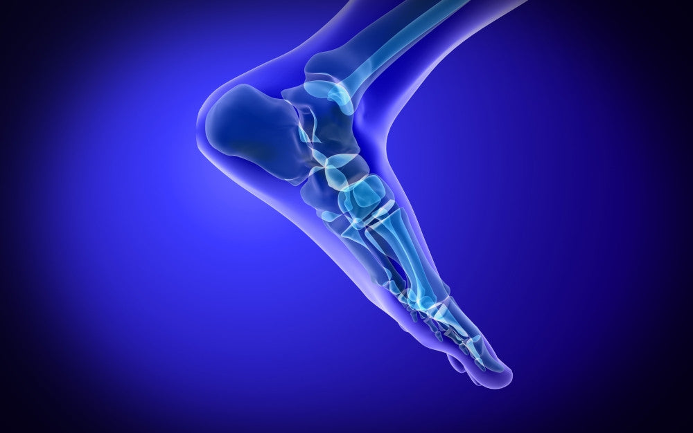 X-Ray View of Human Foot Fine Art Print - Multiple Sizes Available