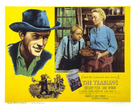 The Yearling Photo Print - Available in Multiple Sizes