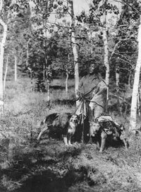 Assiniboin Hunter Fine Art Print by Edward S. Curtis | Granger Collection