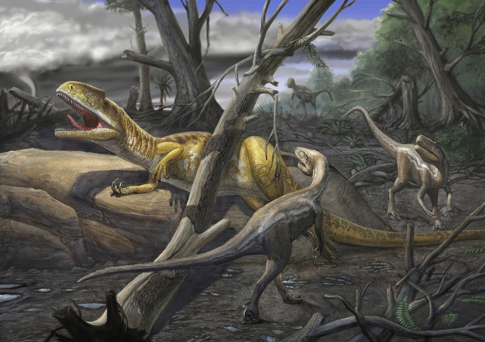 Neovenator Salerii vs. Eotyrannus Lengi Dinosaur Art Print