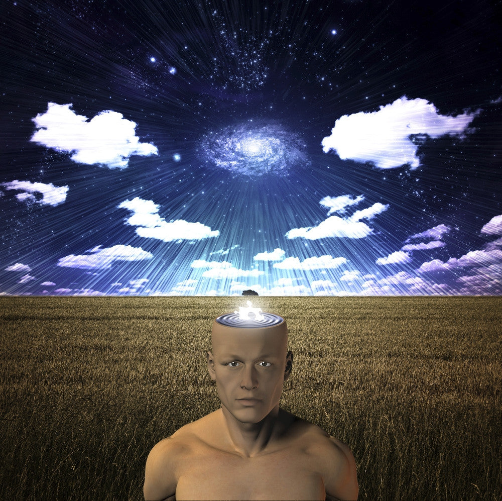 Power of Mind Fine Art Print by Bruce Rolff/Stocktrek Images