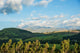 Late Afternoon Fields Near Cayambe Volcano Art Print by Panoramic Images