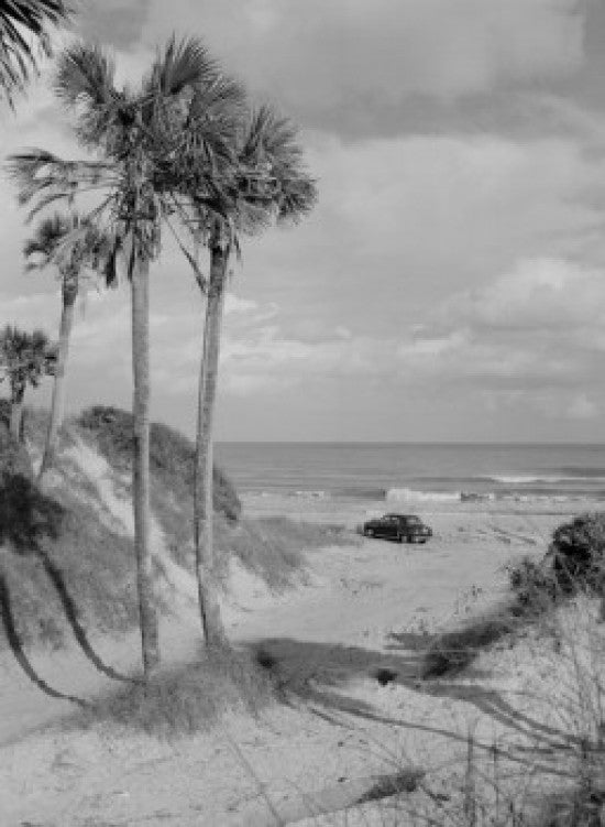 Ponte Vedra Beach Fine Art Print - USA, Florida