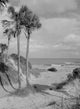 Ponte Vedra Beach Fine Art Print - USA, Florida