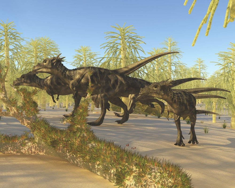 Dracorex Dinosaurs in Carboniferous Forest Fine Art Print