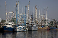 Bayou La Batre Fishing Village Fine Art Print by Carol Highsmith